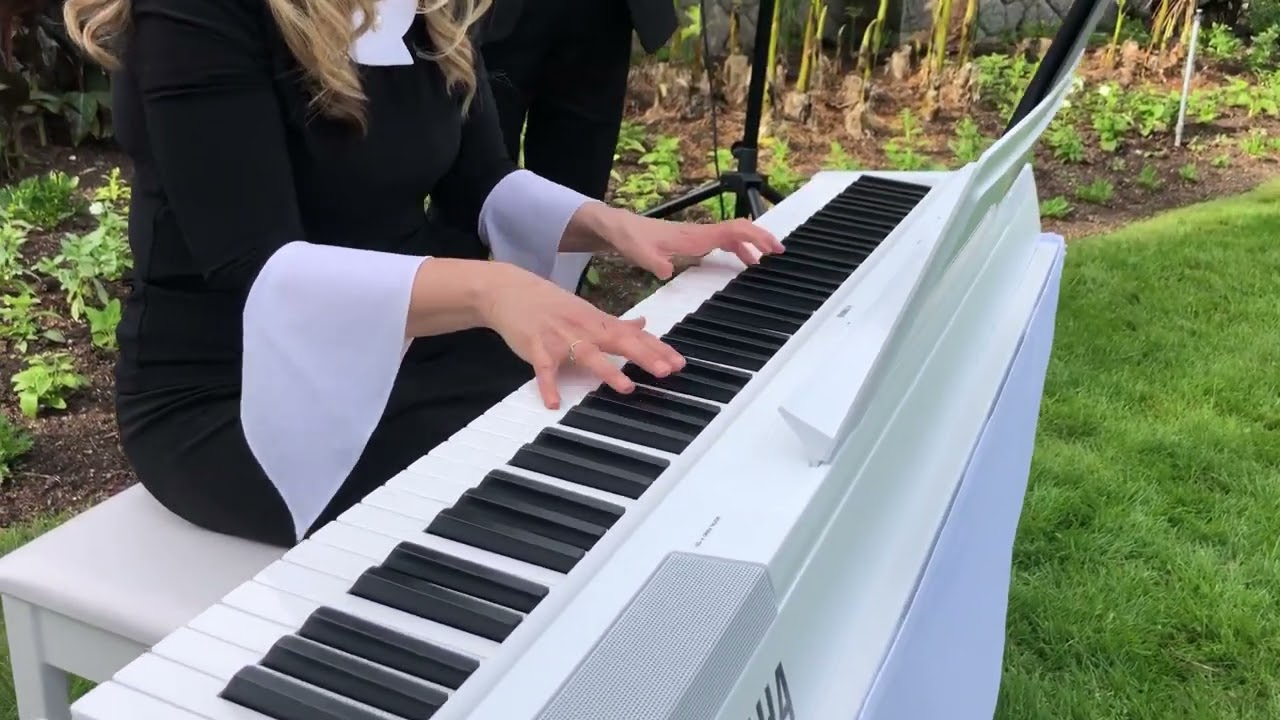Promotional video thumbnail 1 for Violin and Piano Duo