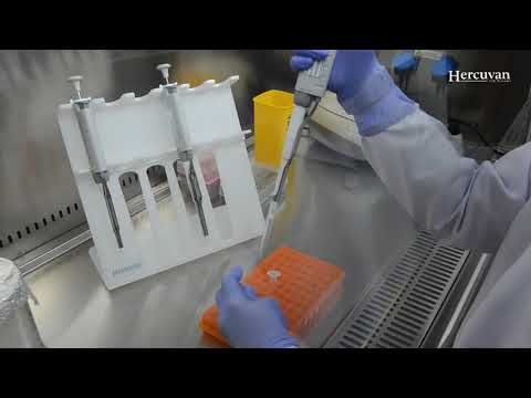 Molecular Biology Lab Set Up with Hercuvan's Lab Equipment