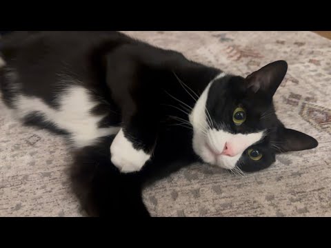 오늘도 그저 귀엽다