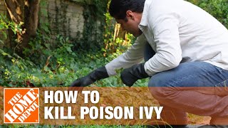 5 Ways to Get Rid of Poison Ivy Plants From Your Lawn | The Home Depot