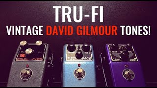 Video thumbnail for Vintage David Gilmour tones with Tru-Fi Two Face, Ghost Vibe and 18V Colordriver by gilmourish