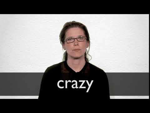 CRAZY Synonyms  Collins English Thesaurus