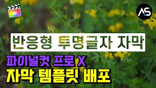 파이널컷 프로 X 반응형 투명 자막 템플릿 업데이트 공유