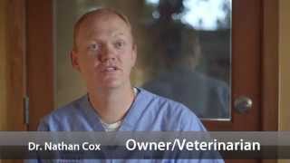 preview picture of video 'Welcome to Cottonwood Animal Hospital'