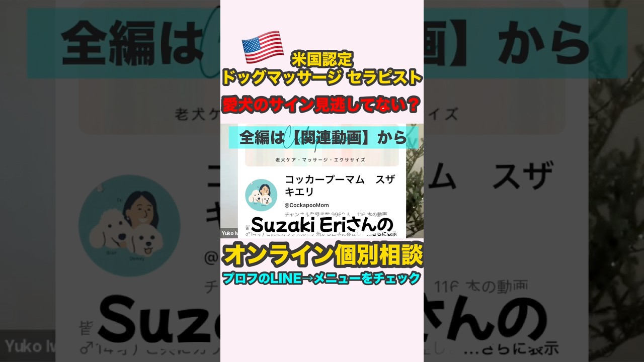 🇺🇸認定ドッグマッサージ セラピスト　Suzaki Eriさんとのコラボ動画