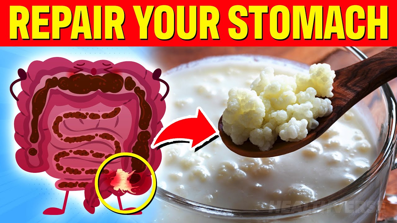 EAT These 10 POWERFUL Foods To HEAL Your GUT & Repair STOMACH