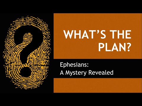 What's the Plan? - Stand Strong