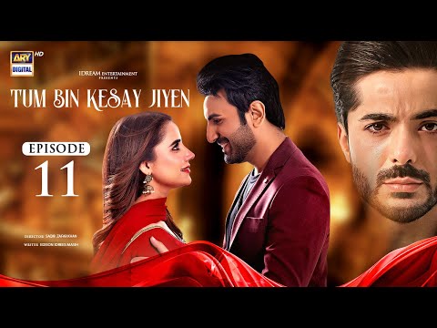 Tum Bin Kesay Jiyen Episode 11 | 23 February 2024 (English Subtitles) | ARY Digital