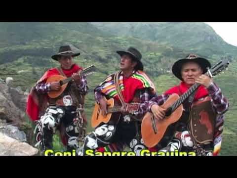 Sangre Grauina "Toro raviche" (Huayno)