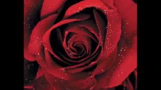 Zoot Sims - Never Let Me Go