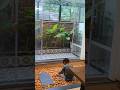 Courtyard Design Kerala Tropical House Kerala House Design