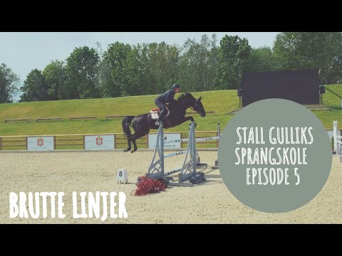 Stall Gulliks sprangskole - Brutte linjer