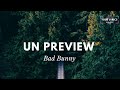 Bad Bunny - Un Preview (Lyrics/ letra)
