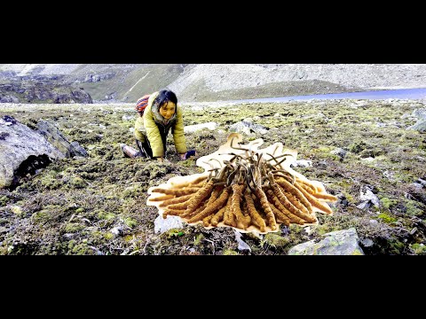 Pem Zam with Cordyceps at Lunana | Yak in the classroom girl | Lunana Bhutan |