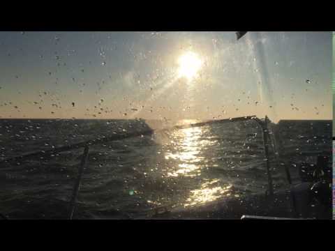 Quicksilver Pilothouse 620