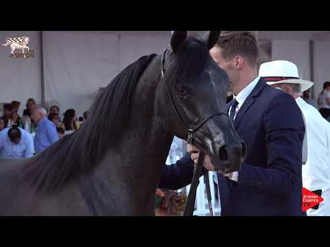 N.115 MAHASIN DE CARTHEREY - Menton 2019