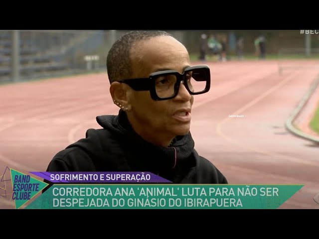 Para ENTENDER O CASO da Ana Luiza Garces, a ANIMAL
