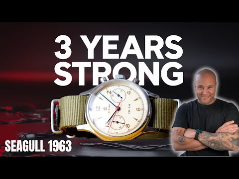 3 YEARS ON THE WRIST| Seagull 1963 Mechanical Watch| BEST AFFORDABLE CHRONOGRAPH