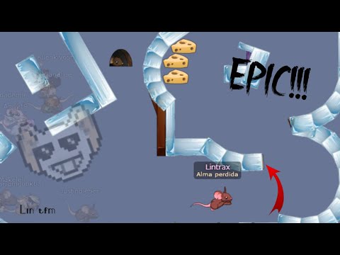 EPIC FIRST #13 | Lintrax | TRANSFORMICE 2022