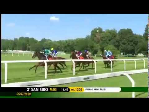 2020.07.05 Premio Primi Passi (ITA) - Aria Importante