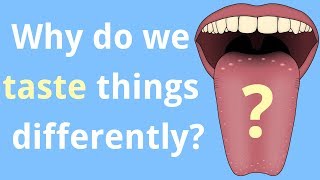 Why Do We Taste Things Differently?