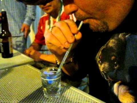 Don Pancho Kokomo