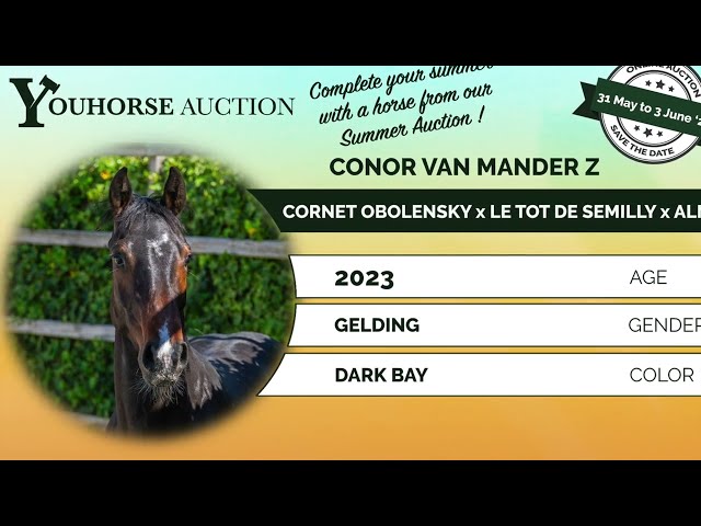 Conor van Mander Z