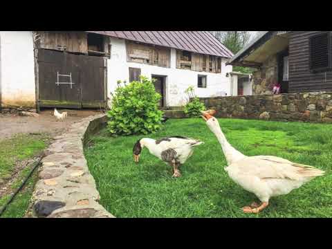 Neuer Kurs für Umdenker - 18 Die Magie der Sprache