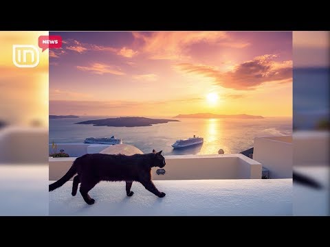 Bestytnitë e çuditshme. Çamçakëz natën, ters. Shiu, mbarësi | IN TV Albania