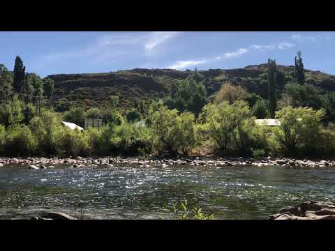 Linda tarde disfrutando el río Nahueve en el paraje Bella Vista del #norteneuquino 😍 #Neuquén