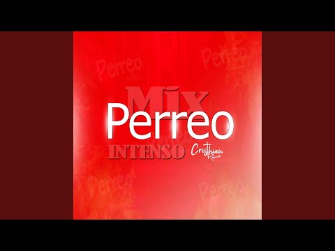 Mix Perreo Intenso 2024 (Old School)