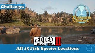 All 15 Fish Species Locations (Survivalist Challange #10) - Red Dead Redemption 2