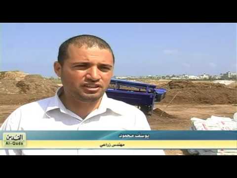 , title : '‫الزراعة العضوية في غزة‬   YouTube'