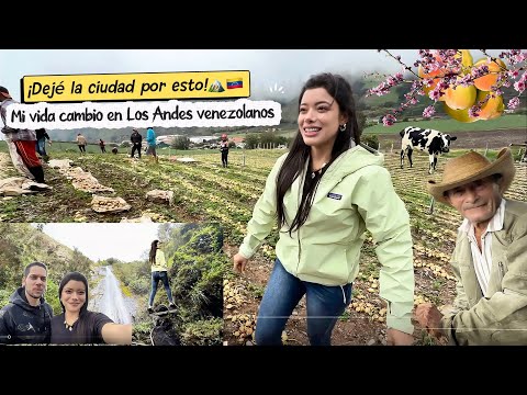 ¡Dejé la ciudad por esto! Mi vida cambió en Los Andes venezolanos 🏔️🇻🇪 #turismovenezuela 