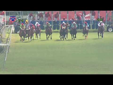 RM7 R1 - Rasta Rebel(J.Allyhosain)