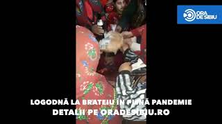 VIDEO: Paranghelie pe timp de pandemie la Brateiu - Zeci de oameni la o logodnă țigănească 1 video