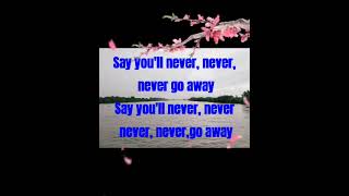 Say You&#39;ll Never (lyrics) by Lian Rose