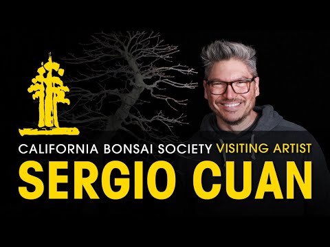 CBS Visiting Bonsai Artist - Sergio Cuan Feb 2020