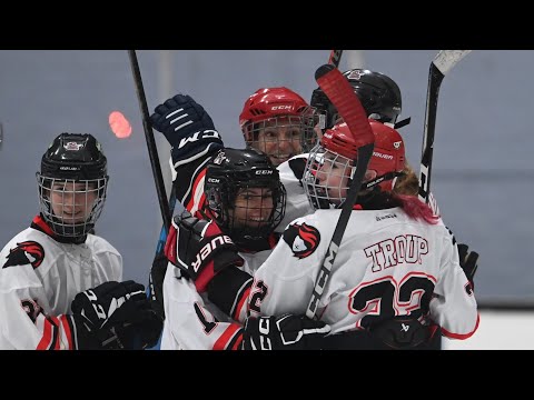 Division 1 Fan Vote Goal Of The Year 25/26