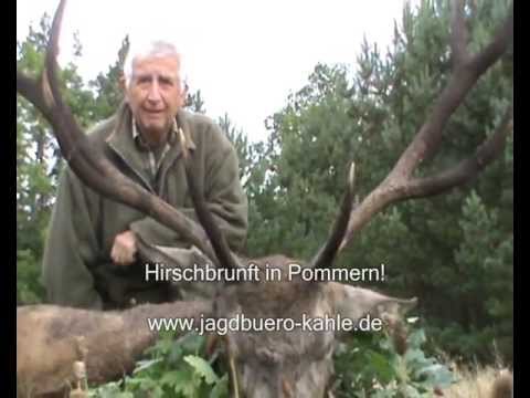 Alter Achter auf der Strecke!