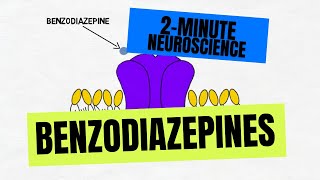 2-Minute Neuroscience: Benzodiazepines