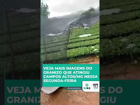 Veja mais imagens do granizo que atingiu Campos Altos/MG nessa segunda-feira