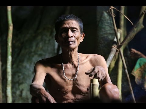 The Last Cavemen" (1 x 52' HD) – Trailer