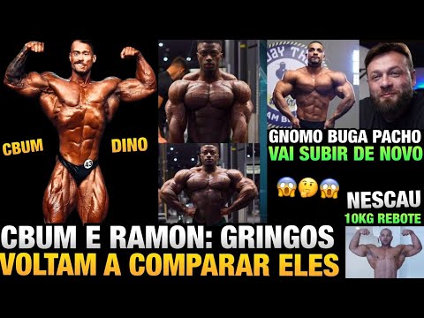 GRINGOS EXALTAM BRAÇOS DO RAMON E DORSAL DO CBUM - FRANCÊS ESTÁ INSANO + GNOMO E NESCAU