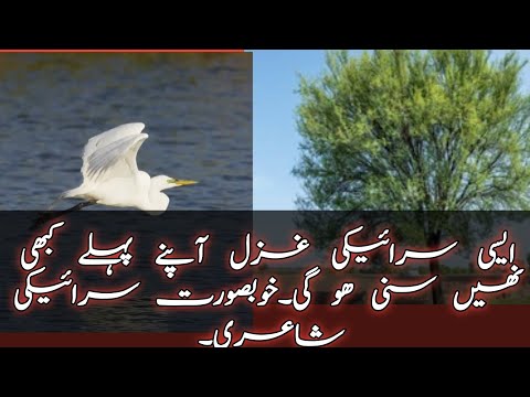 Seraiki poetry||Savi Savi kikri utain.