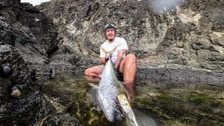 Kingfish , Snapper & Big Crayfish | The Land Of Giants | Fishing & Diving Part 1