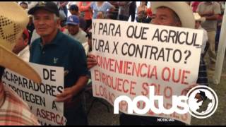preview picture of video 'Productores se manifiestan en Abasolo; piden mejores precio de granos'