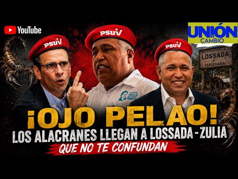 🚨Alerta en Vivo 🚨 municipio Jesús E Lossada  - Zulia , TRAMA CHAVISTA entre corrupción  y ALACRANES 