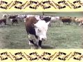 Closing To The Rare Breed 1986 VHS
