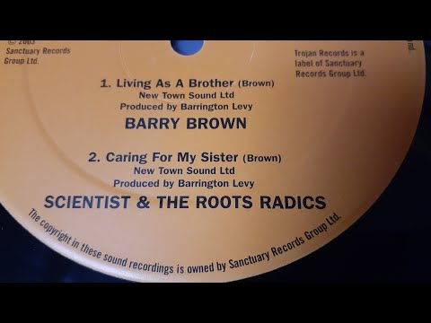 Reggae Dub mix - Roots Radics style!
